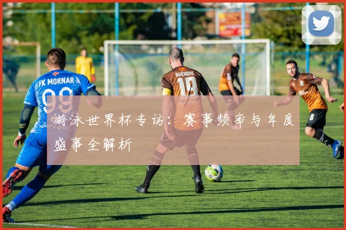 游泳世界杯专访:赛事频率与年度盛事全解析
