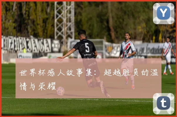 世界杯感人故事集:超越胜负的温情与荣耀